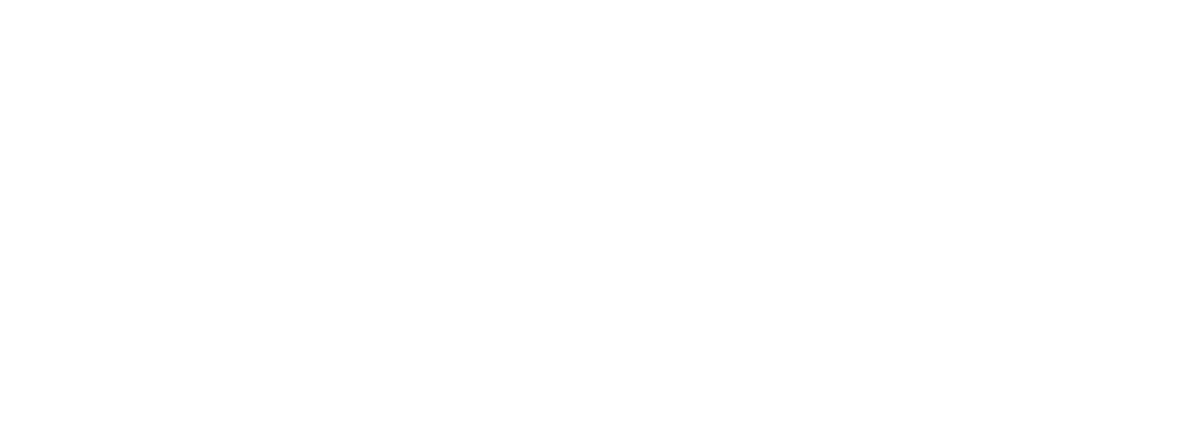 FORZA