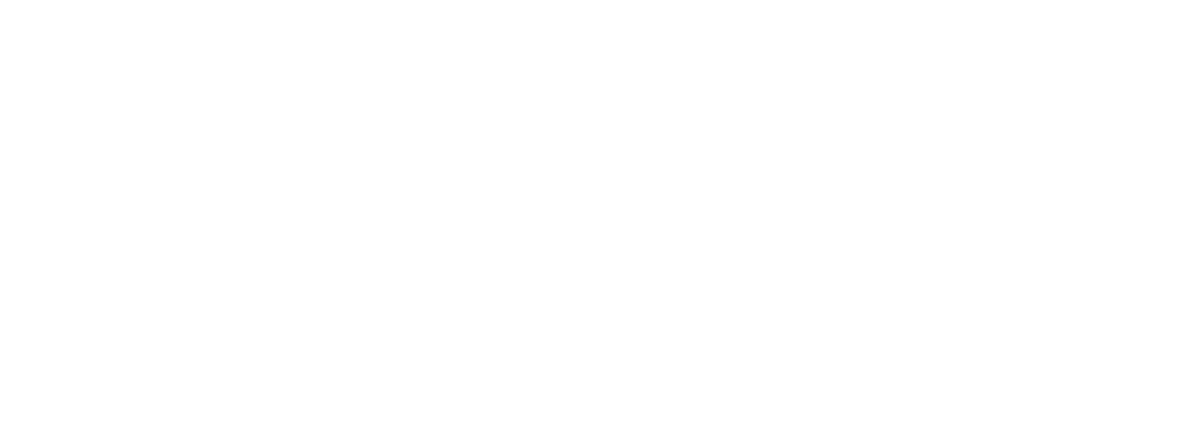 FORZAS-NETXX