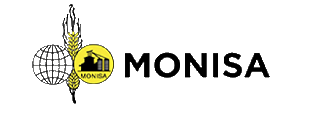 MONISA